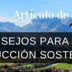 Hay muchas empresas que no utilizan estas recomendaciones para una traducción sostenible.