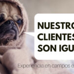 Saber adaptarse la agencia de traducción al cliente