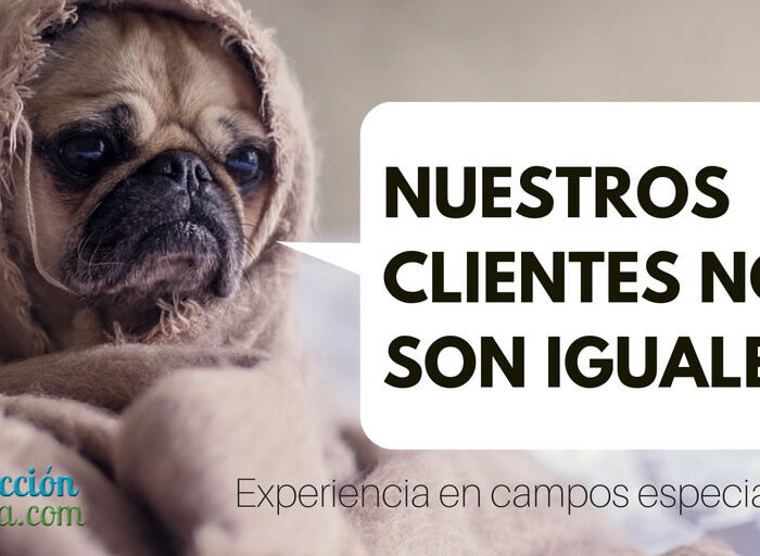 Saber adaptarse la agencia de traducción al cliente