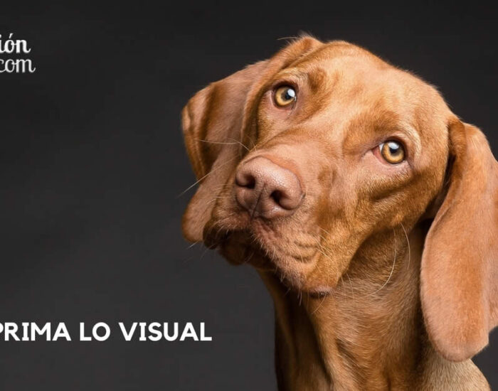 Donde prima lo visual frente al texto