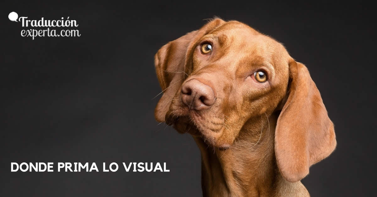 Donde prima lo visual frente al texto