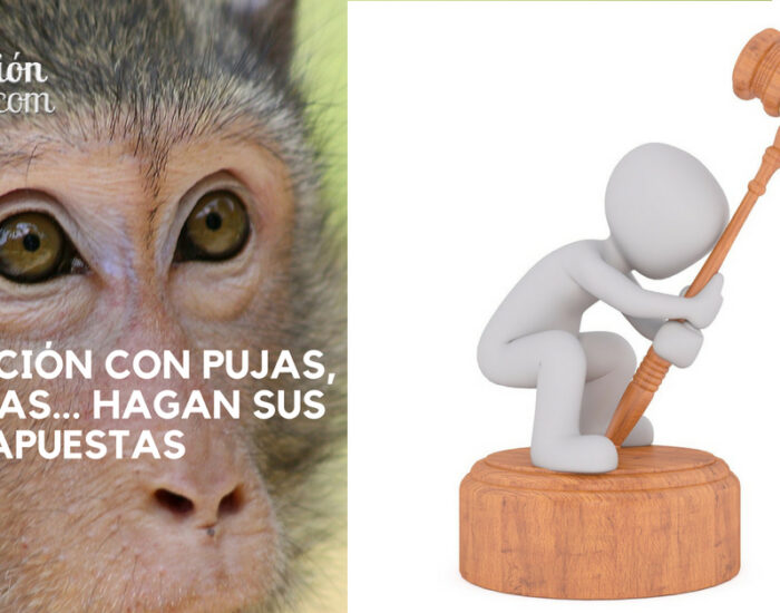Traducción con pujas subastas hagan sus apuestas